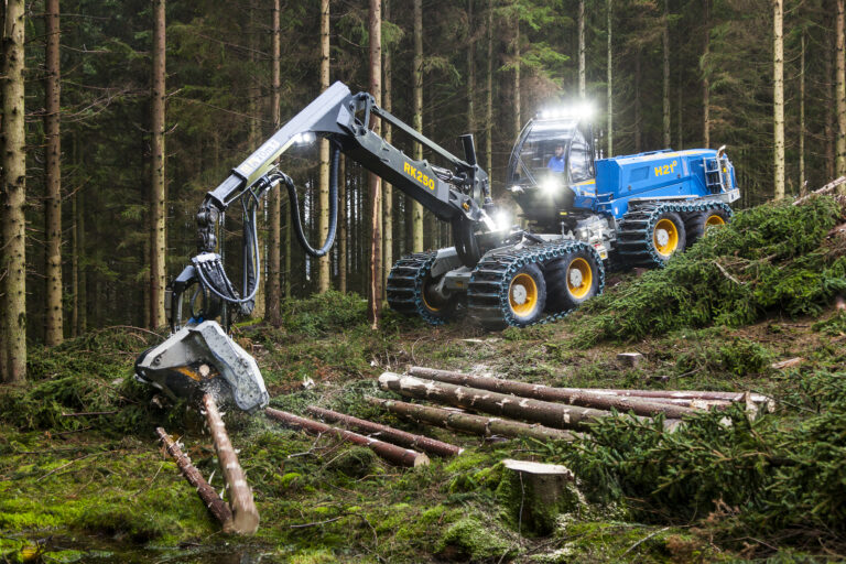 Kun Elverum avvirker mer skog enn Kongsvinger i Norge.