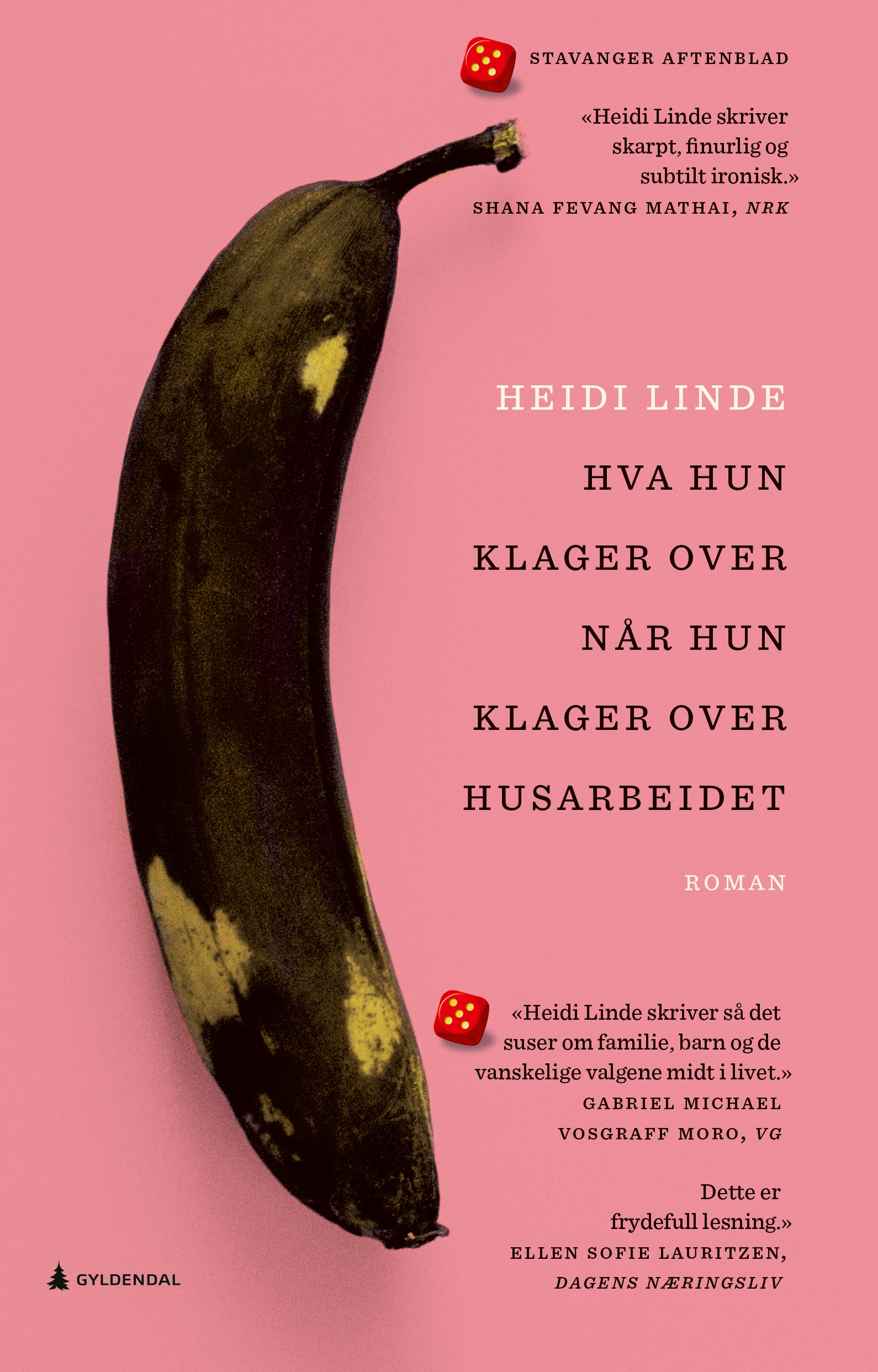 Heidi Lindes nyeste roman «Hva hun klager over når hun klager over husarbeidet»