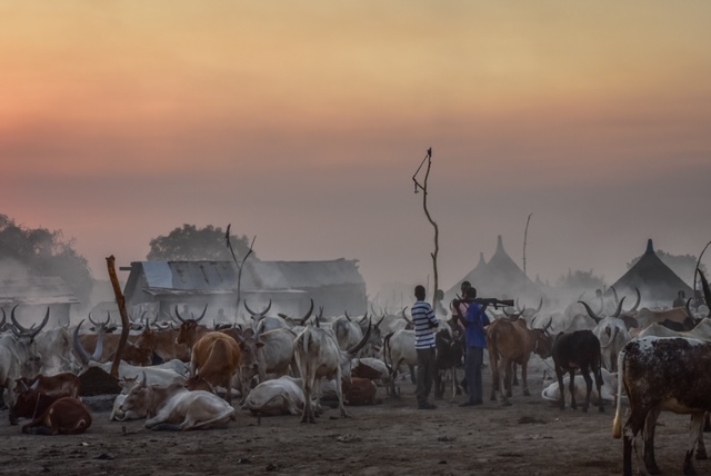 Sør-Sudan erklærte uavhengighet i 2011, og er verdens yngste stat. Siden selvstendigheten har konflikter mellom ulike etniske grupper ført til borgerkrig.