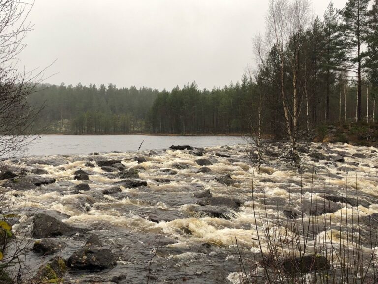 Her ved Varalddammen er det mye mer vann enn til vanlig, og dammen er i prinsippet full. Mye vann skal gjennom vassdraget som dammen er tilknyttet de nærmeste døgnene.