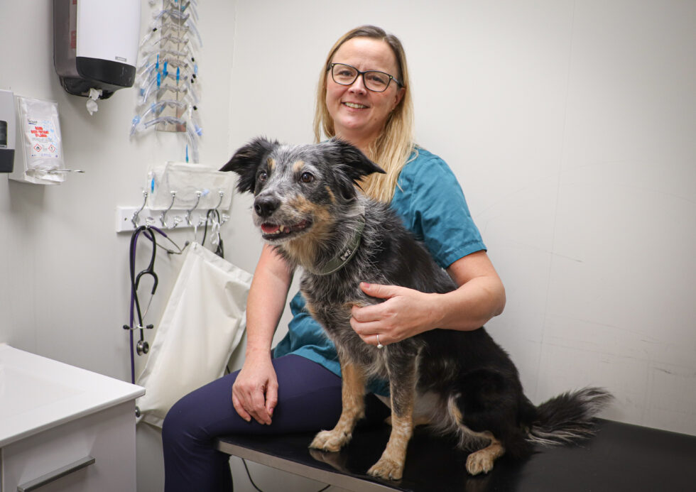 Veterinær Therese Haagensen i Glåmdal Dyreklinikk er opptatt av at dyre-eiere tar ansvar for potensiell smittespredning, spesielt hvis man sitter i isolasjon eller karantene.
