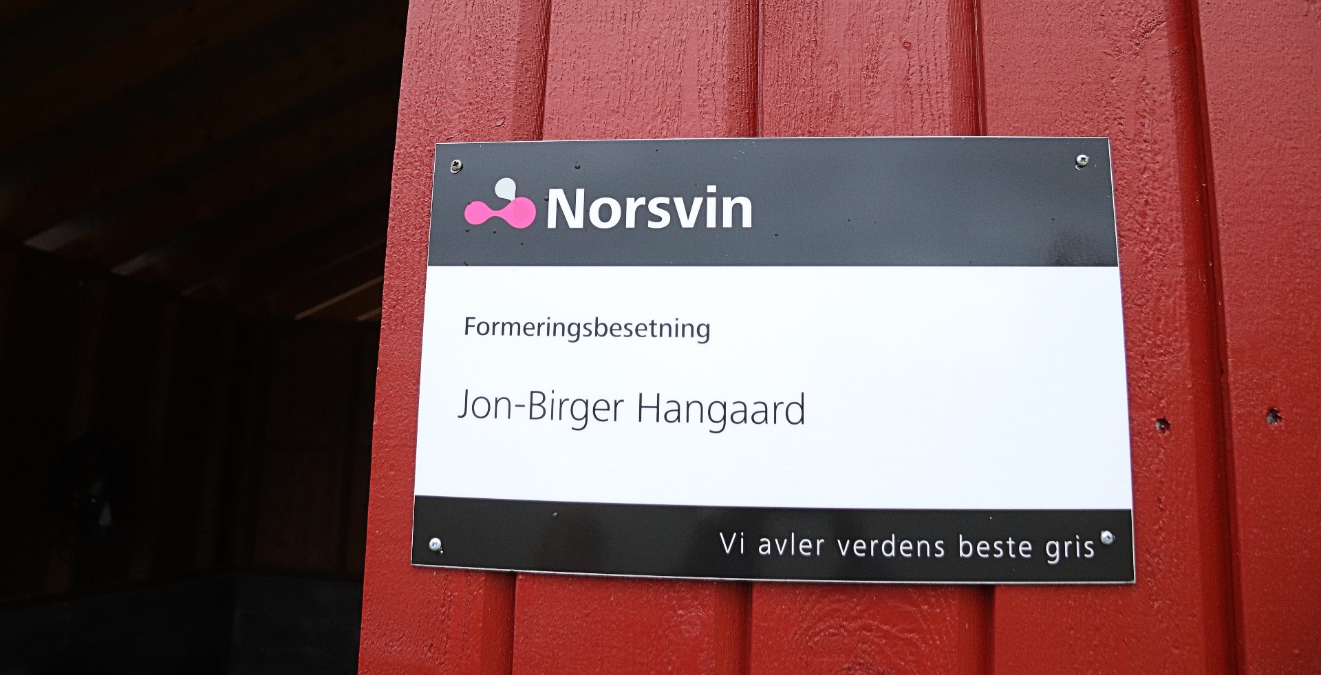 Jon-Birger har jobbet på gården med gris siden 1988. I 2015 ble de formeringsbesetning.
