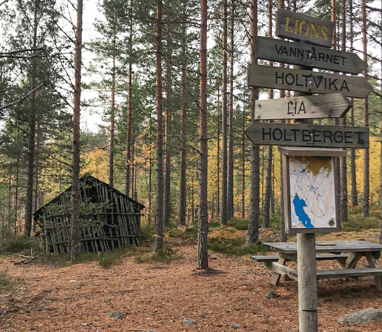 Her er de ulike korridor-forslagene til ny E16 mellom Kongsvinger og E6. Har du innspill? Da er det denne kvelden som gjelder.