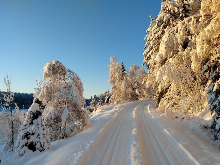 Slik var skiforholdene ved Speismark mandag.