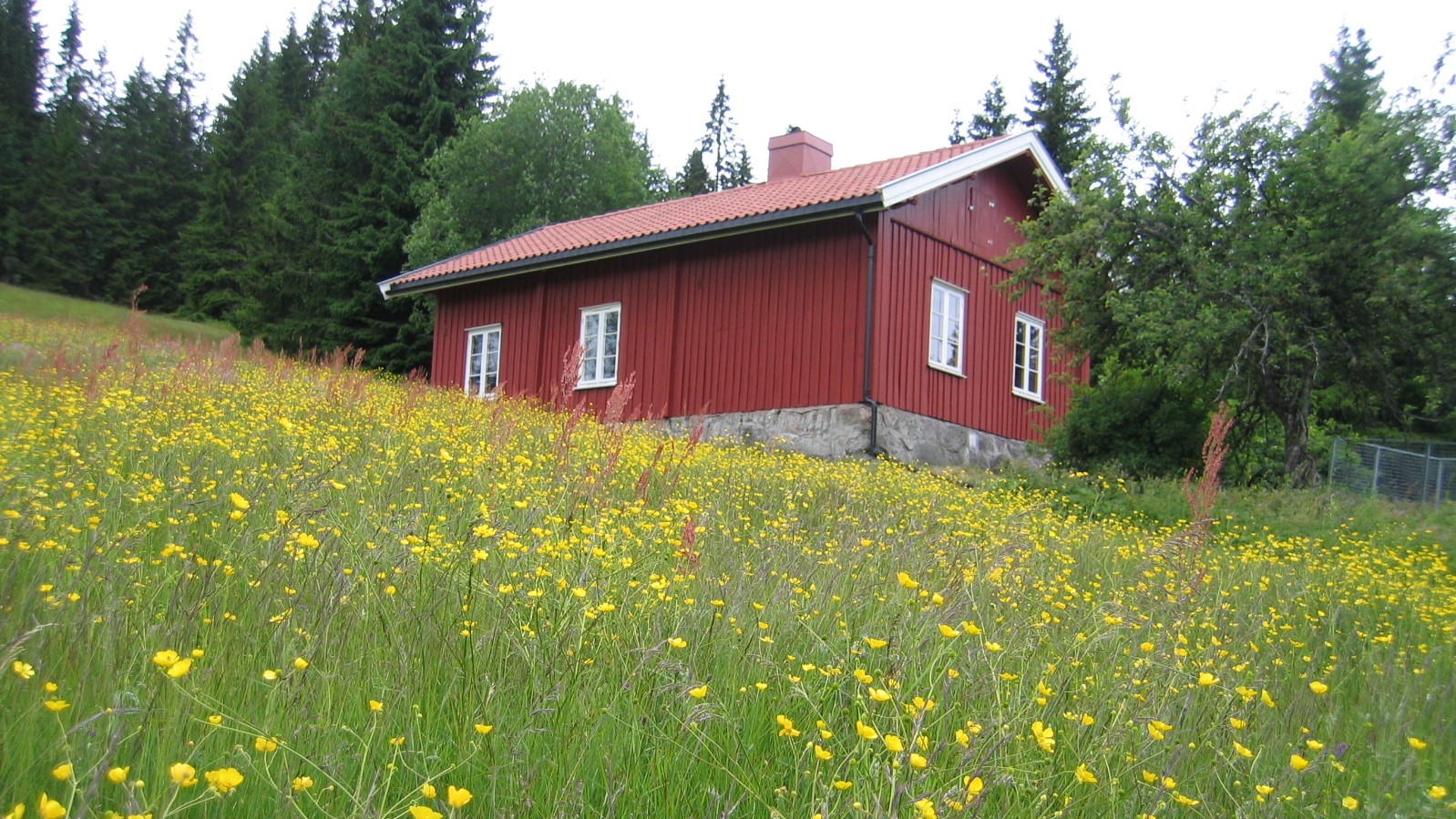Stømnervangen.