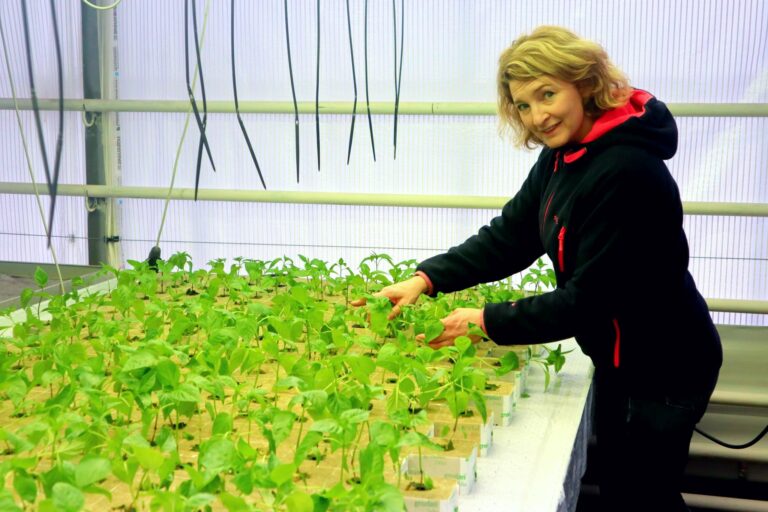 Paprikaen er allerede sådd, og i mars skal blomstene plantes sier Anette Skarstad