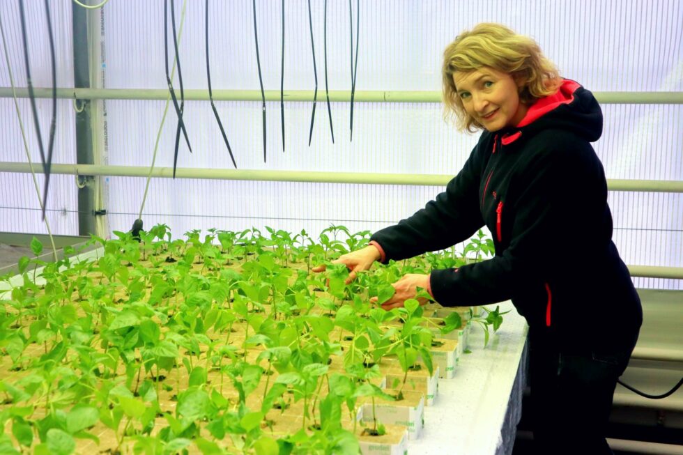 Paprikaen er allerede sådd, og i mars skal blomstene plantes sier Anette Skarstad
