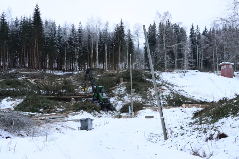 Nå jobbes det med hugge ned trær i Puttara. Slik ser det ut 2. februar