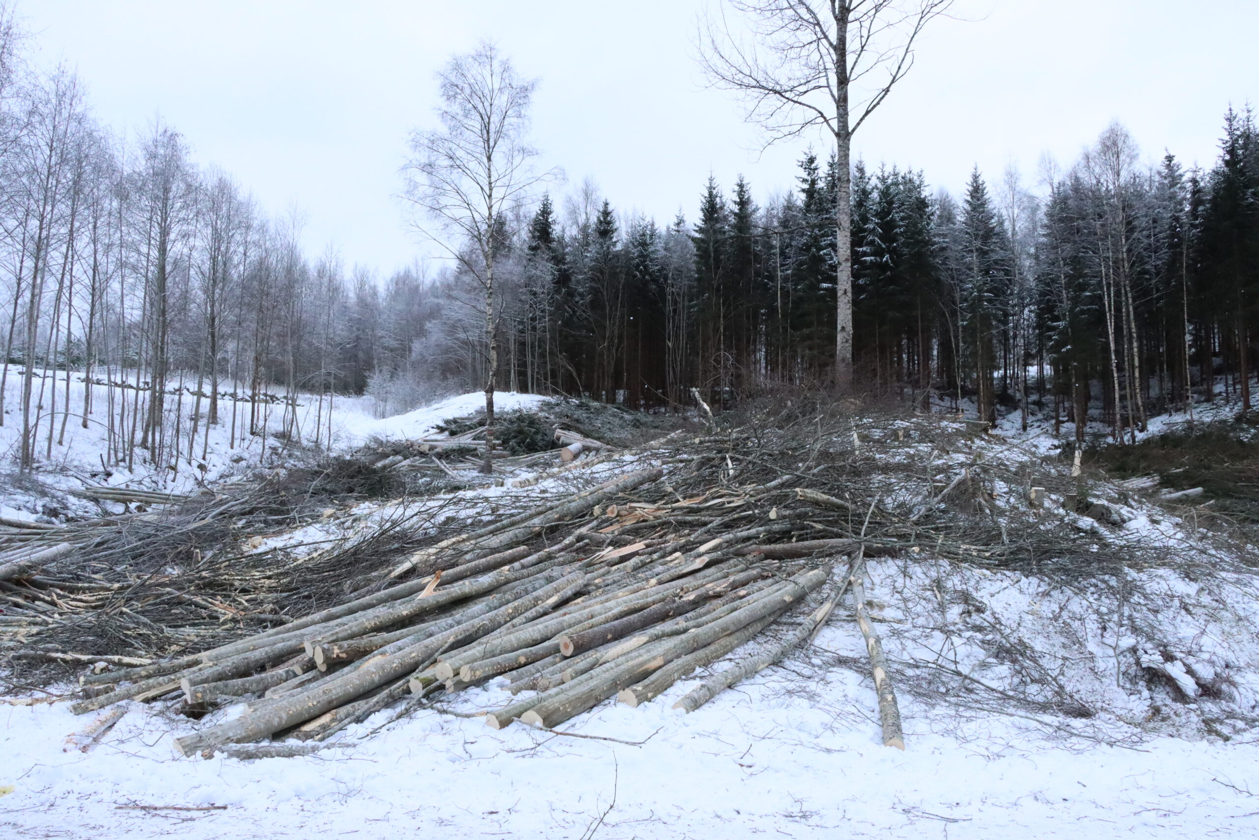 Puttara sett fra fotballbanen.