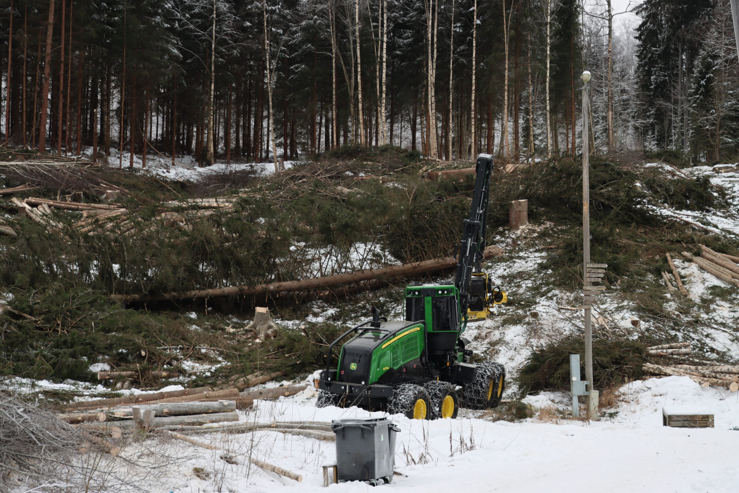 Her driver Glommen Skog for tiden og hugger ned trær.