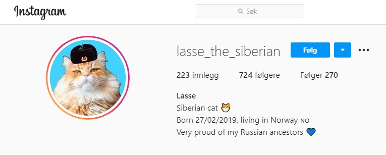 Lasses Instagramprofil