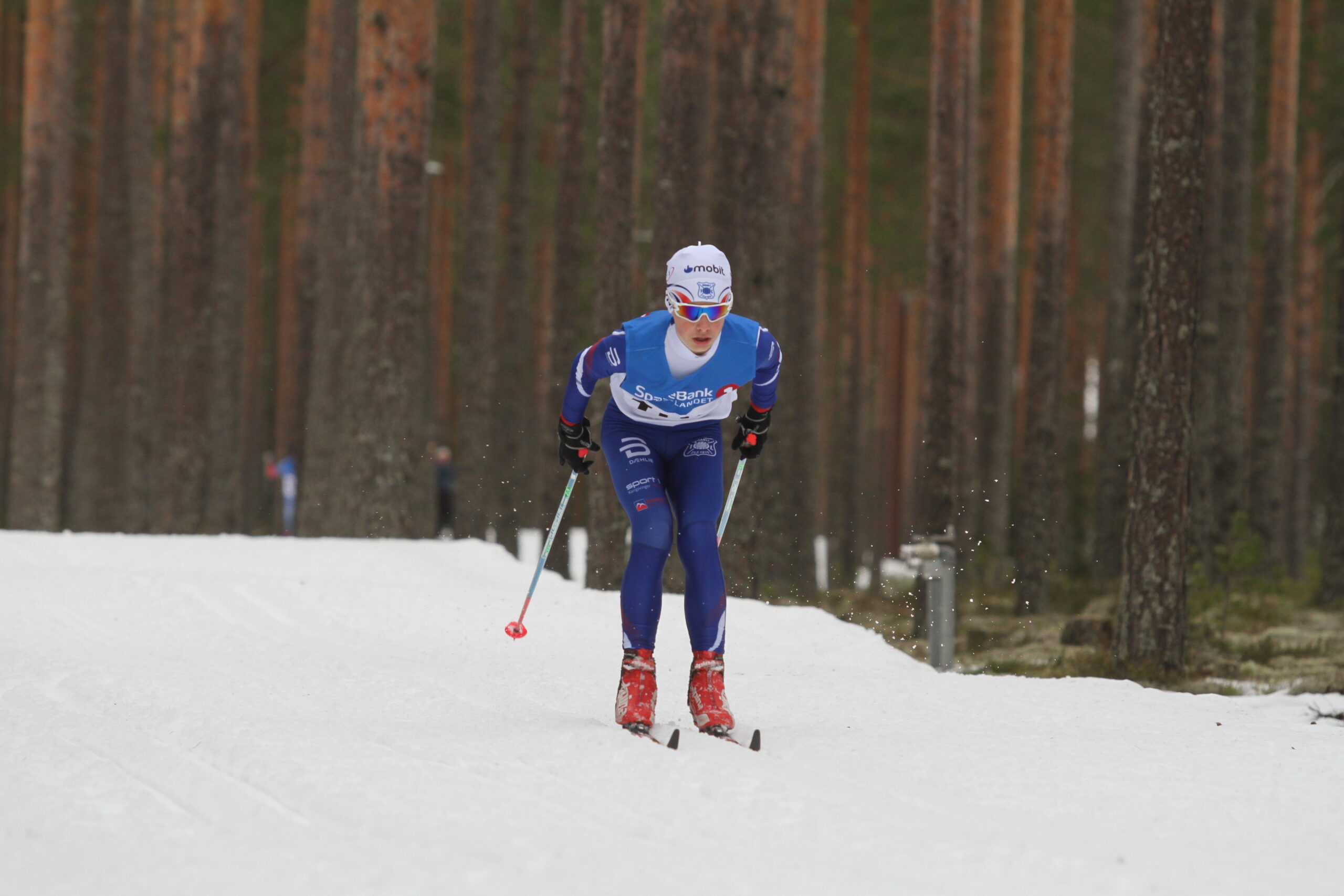 Martin Johan Haugen.