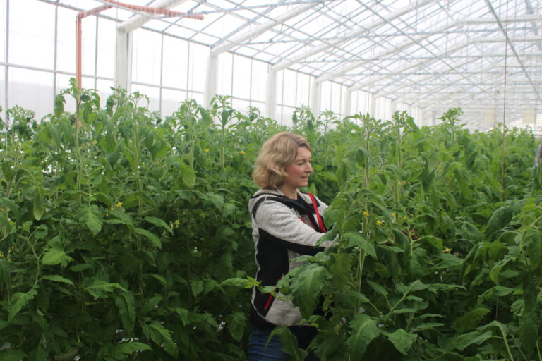 Anette Skarstad viser at selv om våren kommer sent i år, har tomatene i drivhuset allerede begynt å vokse.