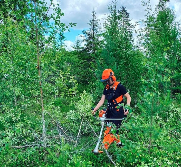 Bilde av ungdommer i tidligere års JOB:U-sommerjobber