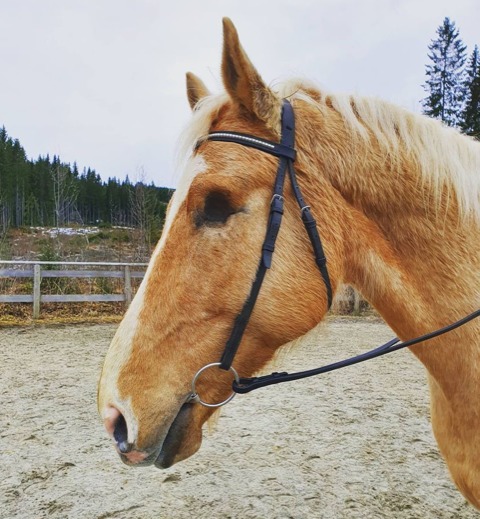Rambo lever i dag i beste velgående, og Line angrer ikke et sekund på at hun valgte å gå for operasjon.