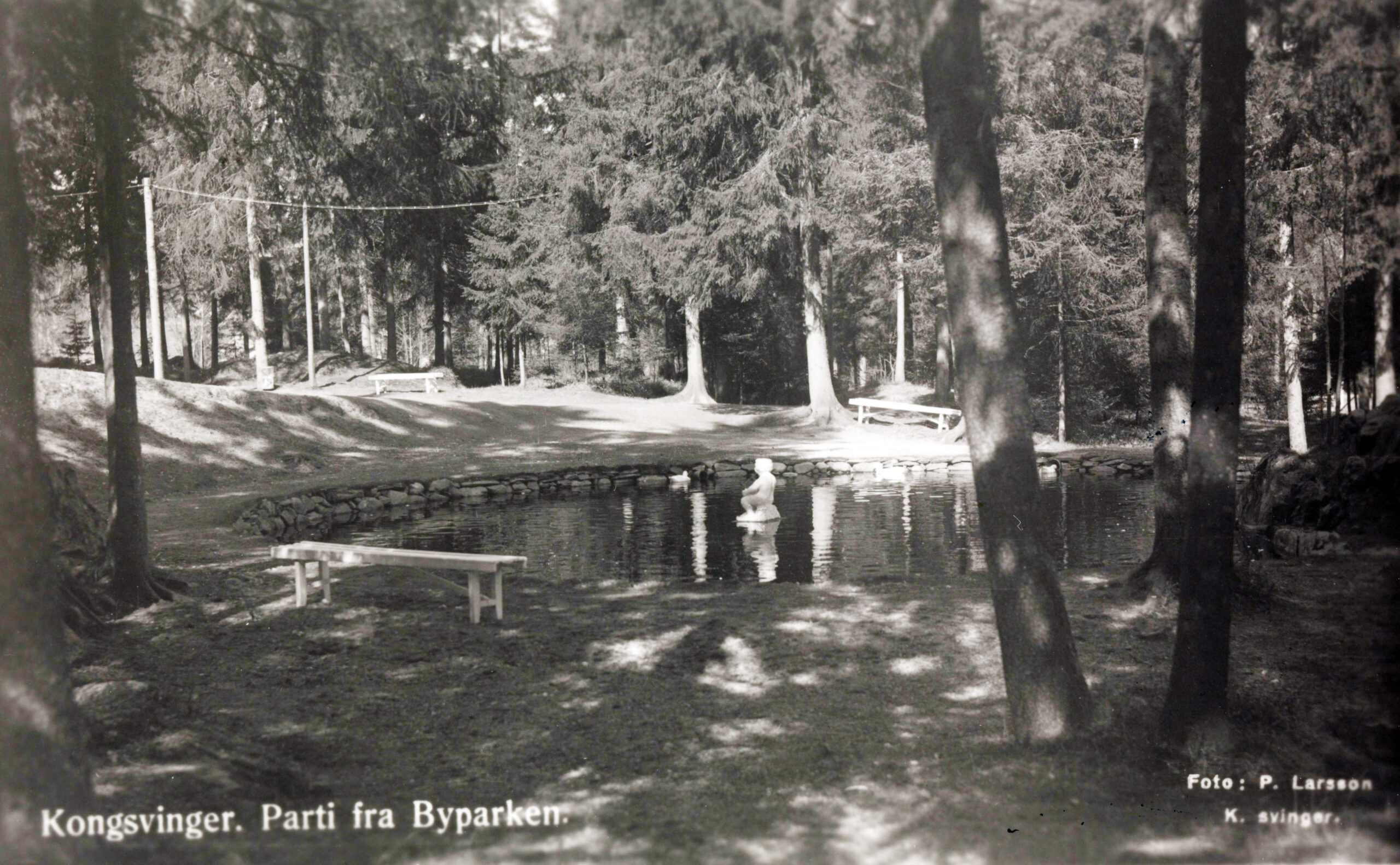 Parti fra byparken i Kongsvinger.