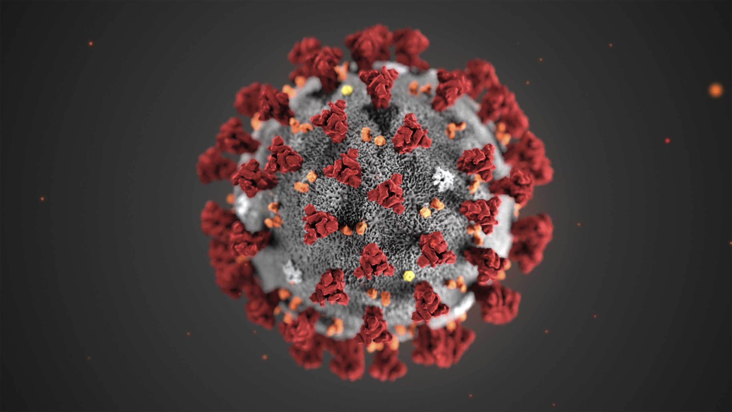 Illustrasjon av SARS-CoV-2-virus: Spike-protein er de røde knoppene på overflaten.
