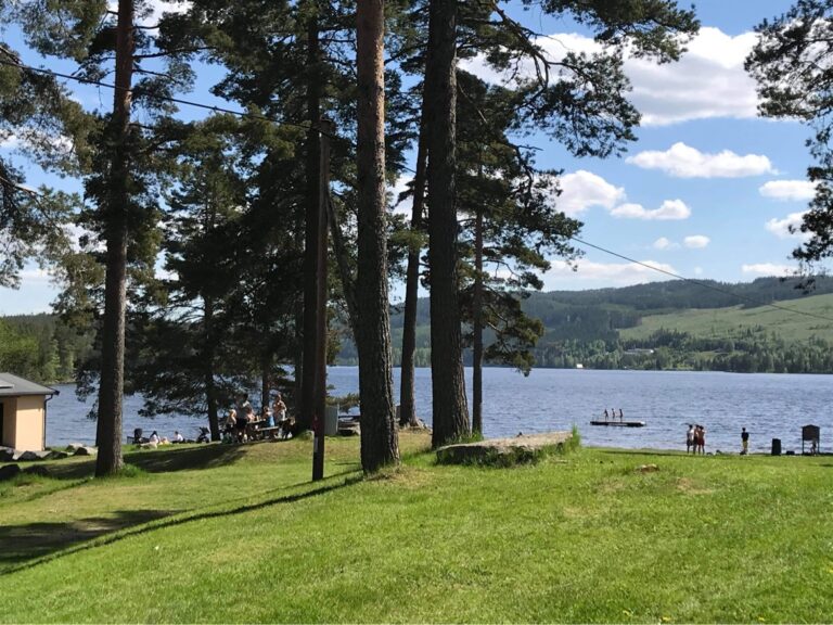 Kommunen har engasjert seg i forslaget om å sette opp en bussrute til Bæreia i sommer. Innlandstrafikk uttrykker at det kan bli vanskelig, men lover å se på saken.