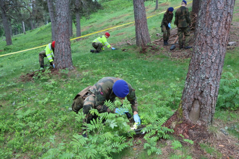 Forsvaret gravde rundt trærne på området, ettersom nedgravde ting ofte dukker opp igjen fordi røttene trekker det opp.