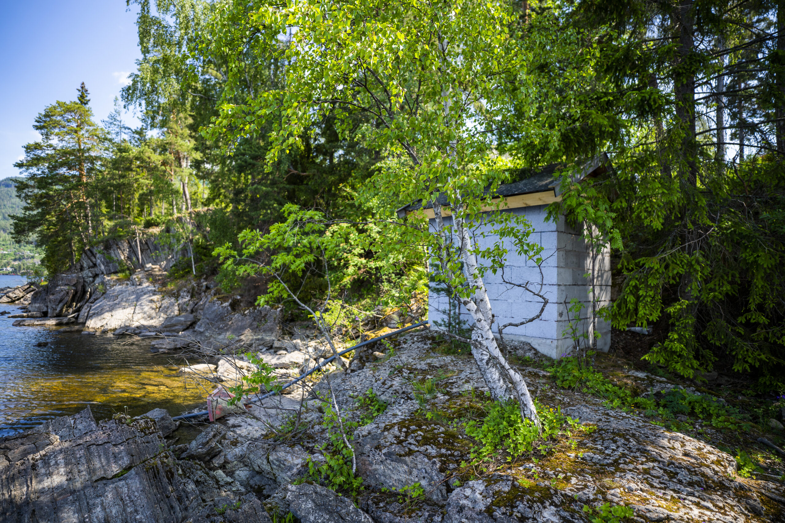 Hadde ikke Martin fått med seg Elisabeth vekk fra Pumpehuset, er det mye som tyder på at hun ville blitt drept. Flere ungdommer ble drept i dette området.