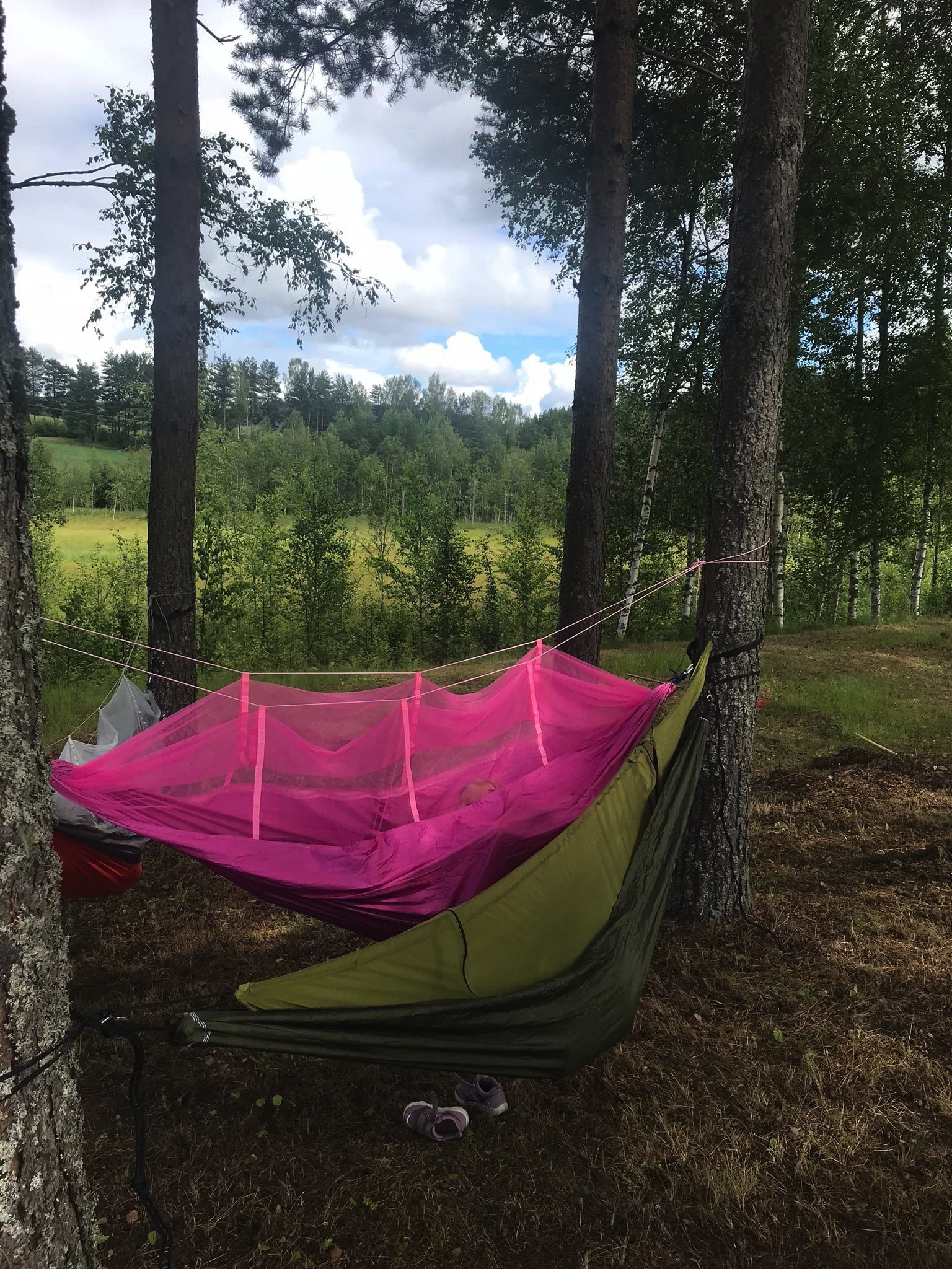 Slik ser de populære treteltene som Bua nå disponerer ut.