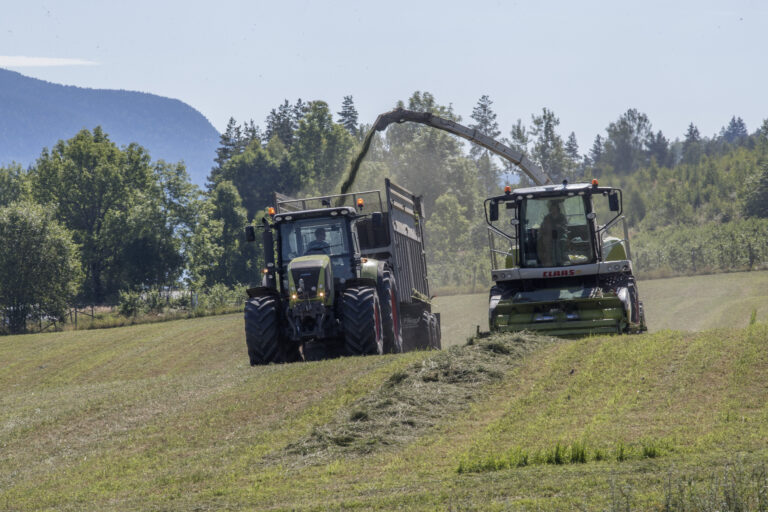 Nestleder i Norges Bondelag, Bjørn Gimming, etter et møte om årets jordbæravlinger i Landbruks- og matdepartementets lokaler i Oslo mandag ettermiddag. (Jordbærkrise: Gråskimmelsopp har rammet jordbærproduksjonen hardt i år.)