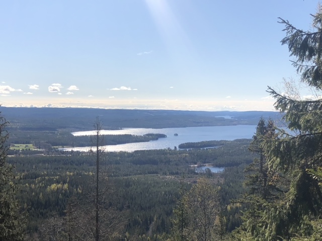 Det er på disse flotte områdene nord for Austmarka Karl Ragnar Rimfeldt nylig kjøpte ca 5000 dekar med skog med grenser inn mot skog han er eier av fra før.