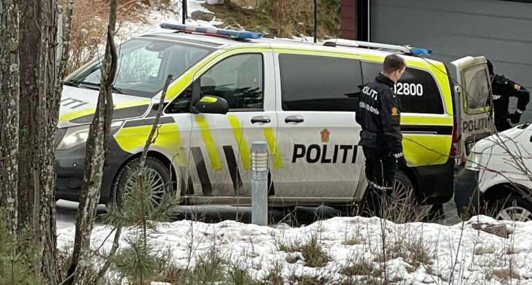 Politiet aksjonerte mot en privatadresse i Kongsvinger, og en mann ble pågrepet og siktet for tyveri.