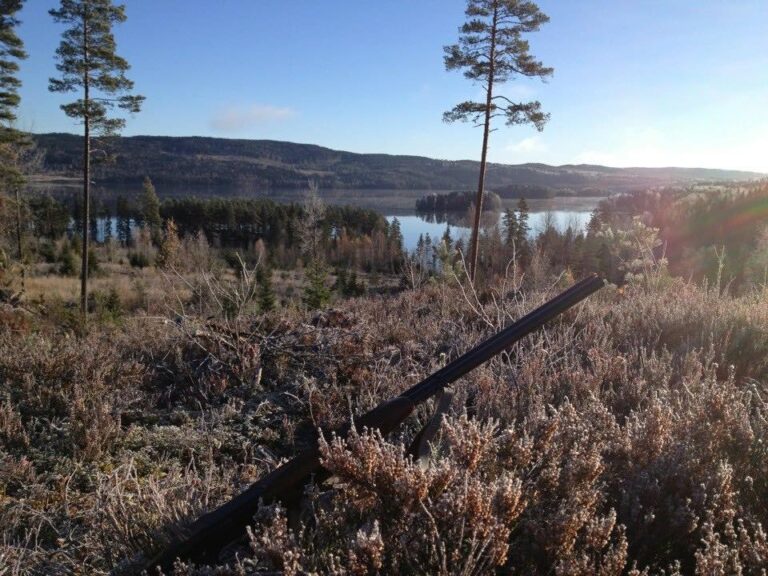 Fra nyttår vil Statskog selv stå for salg av jaktkort på småvilt og rådyr på Statskogs store skogeiendom på Varaldskogen.