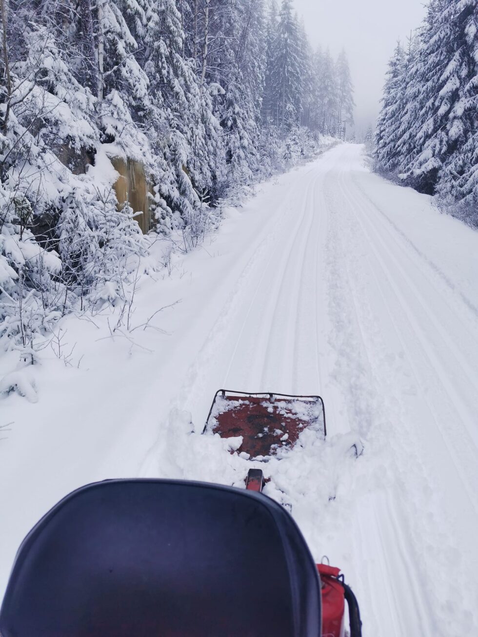 Nå er det bare å finne frem langrennskiene. Det er nok av løyper å velge mellom i Kongsvinger kommune. Her fra Kopparsmyrene på Austmarka.