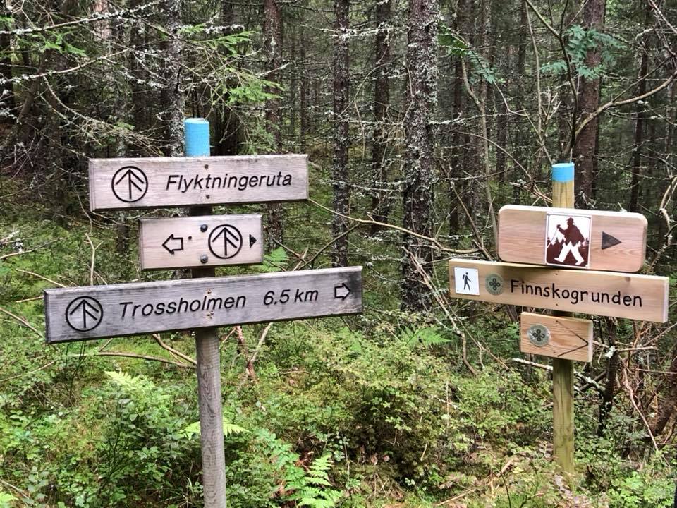 Nå kan frivillige lag og foreninger søke om midler til å ta vare på historiske ferdselsårer.