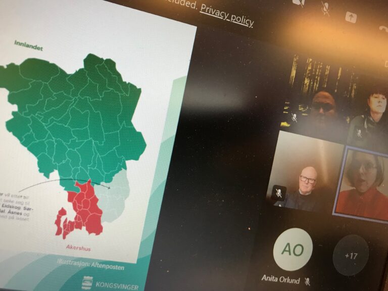 Dagens møte i regionrådet skjedde digitalt. Kongsvingers rådmann Lars Andreas Uglem og rådgiver Ingun Camilla Brøndbo Moss, som begge skimtes nede til høyre i dette skjermbildet, gikk gjennom historikk og rammebetingelser. <span class=