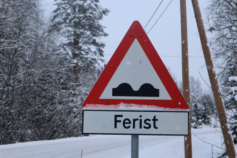 Et nytt, bredt sammensatt trafikksikkerhetsutvalg skal møtes to ganger i året. Men det forventes at lederen, som får 100.000 kroner i året, skal gjøre langt mer enn å lede to møter.