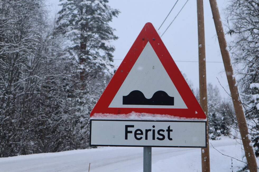 Et nytt, bredt sammensatt trafikksikkerhetsutvalg skal møtes to ganger i året. Men det forventes at lederen, som får 100.000 kroner i året, skal gjøre langt mer enn å lede to møter.