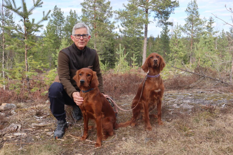 Morten Aasvangen, leder i hundeutvalget i Kongsvinger Jeger og Fiskeforening kan ikke huske sist det var så mange påmeldte til en hundeutstilling i foreningens regi. Hans to Irske settere Elli og Kaisa er også klare for utstilling på søndag.