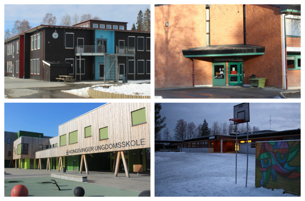 Langeland, Vennersberg, KUSK og Roverud skole er de fire aktuelle skolene i tilsynsrapporten fra Statsforvalteren.