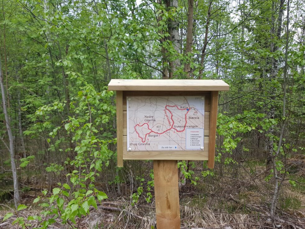DNT Finnskogen Kongsvinger/Eidskog har i lag med historielaget gjort en innsats på Bæreia.