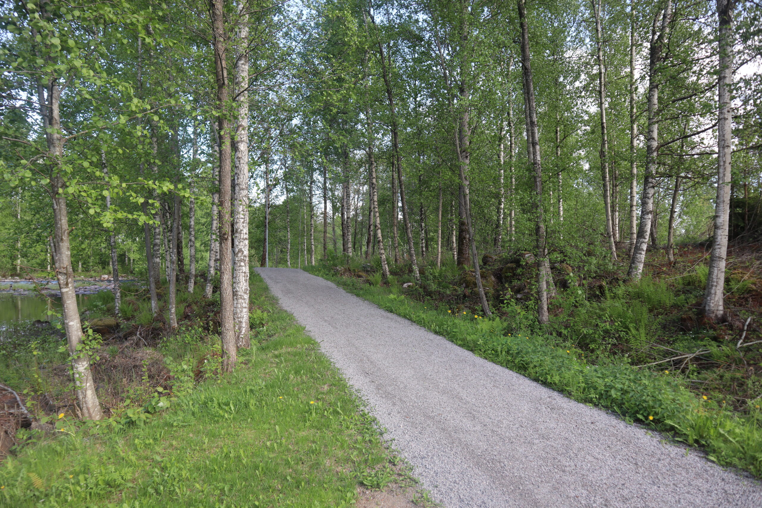 Nylig ble 90 tonn grus kjørt på gangvegen. I vinter ble kvist og løvskog ryddet for å slippe inn mer sol.