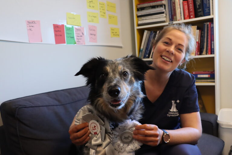 Easy begynner å bli en meritert hund. Hun har nå også sølv i lag og en 7. plass individuelt i VM-sammenheng.