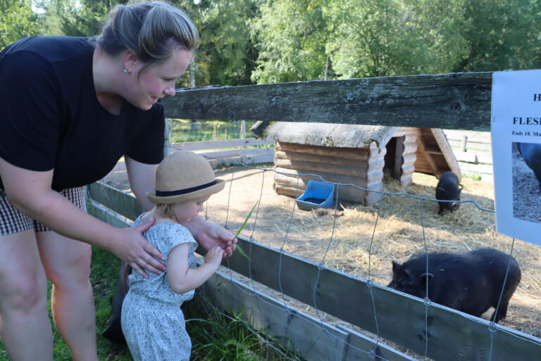 Marie Noer med datteren Liv Noer-Hangaard hilser på grisene.