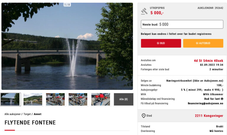 Fontenen som ble delvis finansiert av innbyggerne ligger nå ute for salg.