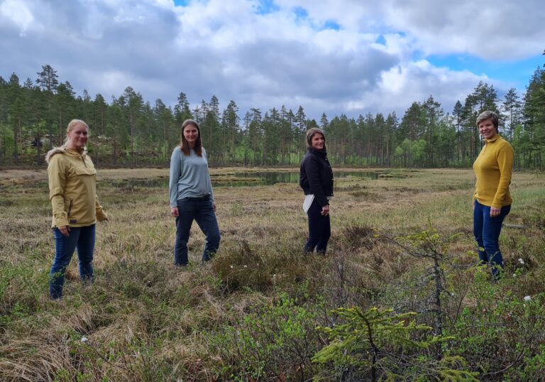 Skog og myr er viktige i klimaarbeidet: Kongsvinger kommune skal kartlegge karbonrike arealer, og har fått 895 000 kroner i Klimasats-støtte i år. Bildet er tatt ved Bjønnmyra, (fra venstre): Kjersti Enger Dybendal (klima- og miljørådgiver), Helene Kjeldsen (landskapsarkitekt og arealplanlegger), Fatlinda Ajvazi (jurist og rådgiver) og Anne Kjersti Briskerud (Smart-kommune rådgiver).