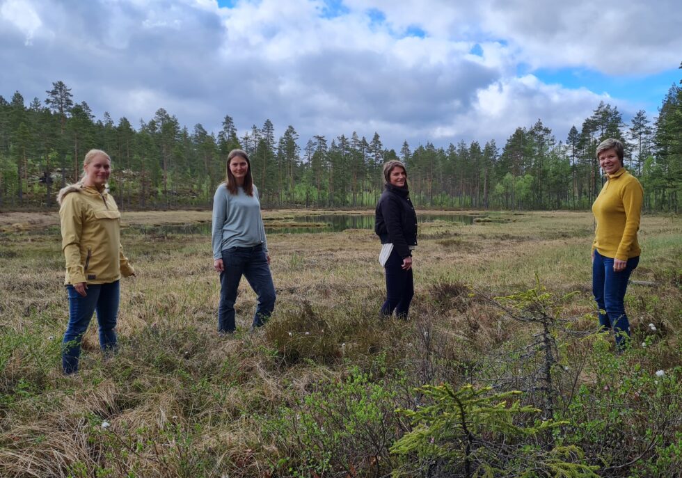 Skog og myr er viktige i klimaarbeidet: Kongsvinger kommune skal kartlegge karbonrike arealer, og har fått 895 000 kroner i Klimasats-støtte i år. Bildet er tatt ved Bjønnmyra, (fra venstre): Kjersti Enger Dybendal (klima- og miljørådgiver), Helene Kjeldsen (landskapsarkitekt og arealplanlegger), Fatlinda Ajvazi (jurist og rådgiver) og Anne Kjersti Briskerud (Smart-kommune rådgiver).