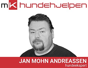 Hunder og stress er tema for denne gang.