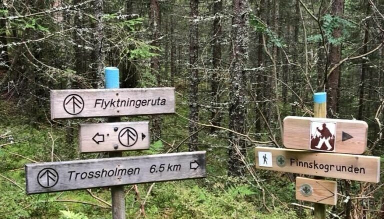 Nå kan lag og foreninger søke om tilskudd til å utbedre turstier og turløyper.