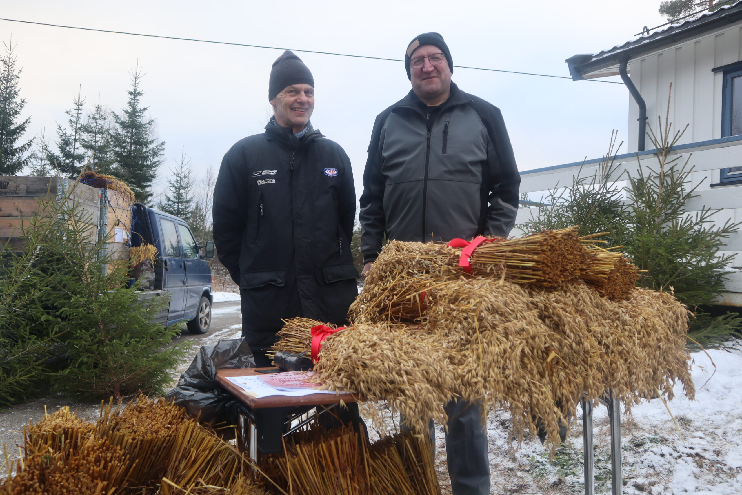 Kalle Holt og Jarl Ramtjernåsen solgte juletrær og julenek til inntekt for samfunnshuset.