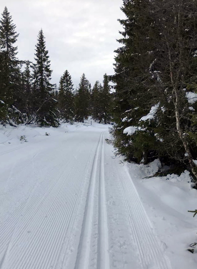 Over hele kommunen er det gode skimuligheter nå om dagen.