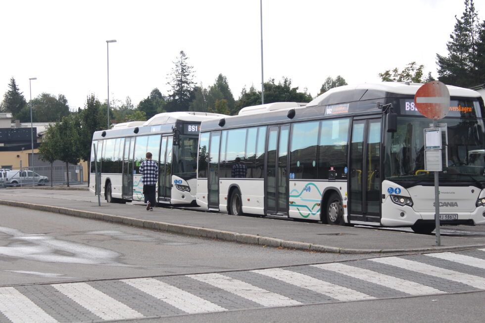 Innlandstrafikk kommer også i år til å gjøre det billig på tur i juli.