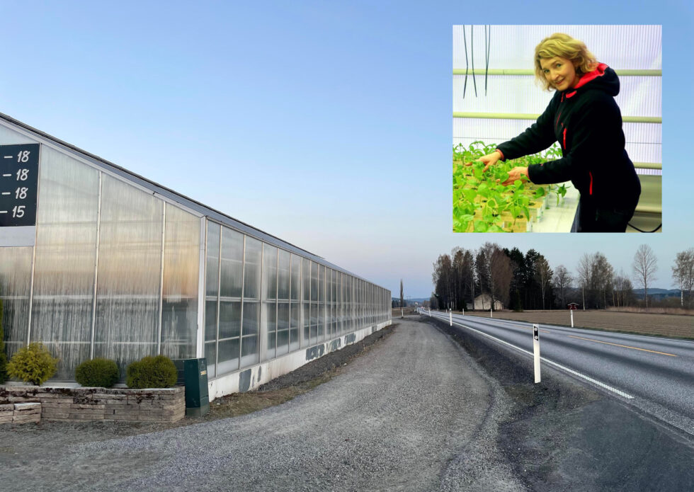 Nå er det slutt på 60-sonen forbi Skarstad Gartneri. Nå frykter driverne at det skal skje alvorlige ulykker.