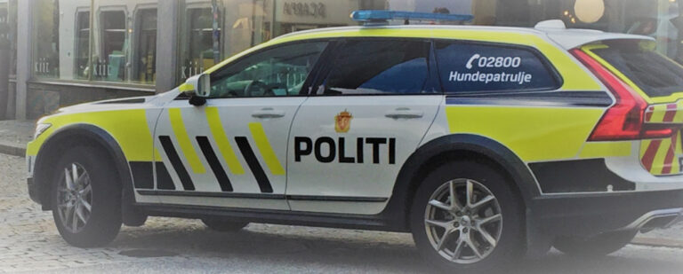 Romerike og Glåmdal tingrett har dømt en kongsvingerkvinne etter at hun i mars ble tatt av politiet for fyllekjøring.